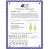 Image 2 : Genuine 18 ctw Quartz Lemon Earrings 14KT Yellow Gold - REF-22M2T