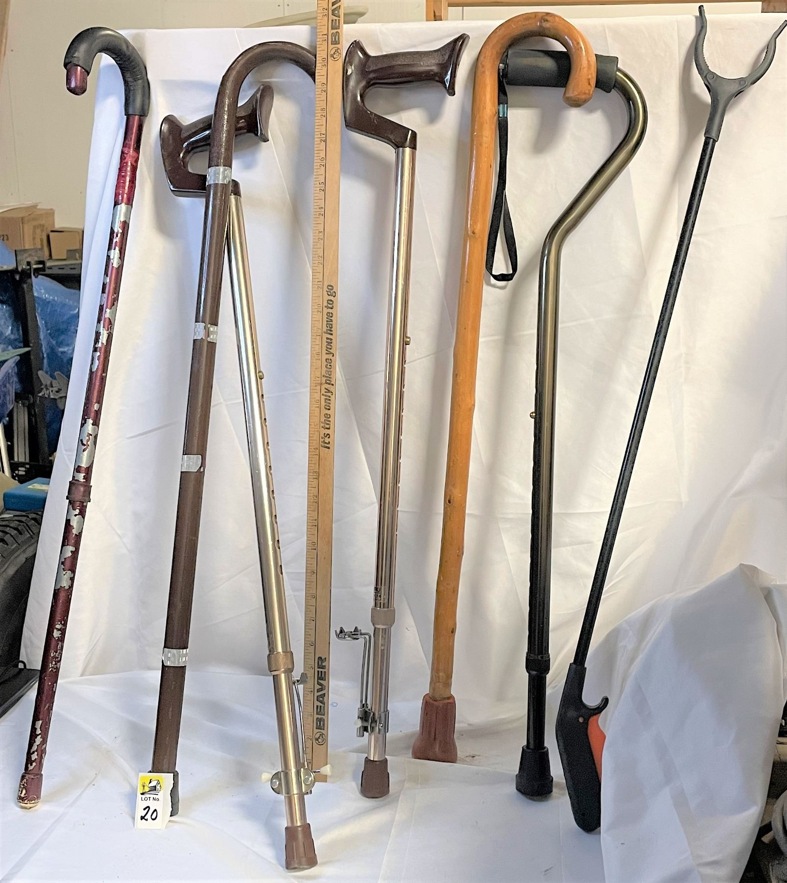 Marsh Cane Collection Collection of Canes