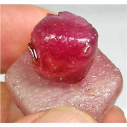 73.5ct. Fantastic  2 Piece Red/Pink Natural Rough Ruby (GEM-0705)