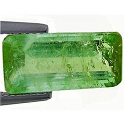 4.23ct Awesome Natural Blue Green Paraiba Tourmaline (GEM-12363)