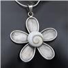 Image 2 : Polished Shell & Sterling Necklace Earrings  (JEW-187)