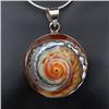 Image 2 : Polished Shell Sterling Silver Pendant Necklace (JEW-201)