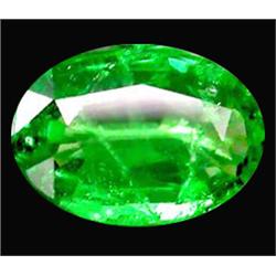 0.54ct Precious Natural Top Green Tsavorite Garnet (GEM-14584)