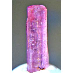 3.05ct RARE Natural Mined Rubellite Crystal (GEM-14607)