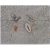 Image 2 : (4) Vintage brooches, leaf is signed CORO