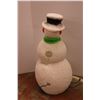 Image 2 : *Frosty Lawn Ornament (Works)