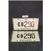Image 1 : PAIR BAHAMAS TAXI LICENSE PLATES