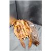 Image 2 : VINTAGE MINK STOLE