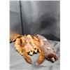 Image 3 : VINTAGE MINK STOLE