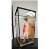 Image 2 : BEAUTIFUL LARGE JAPANESE PORCELAIN CONCUBINE DOLL IN DISPLAY CASE, NO SHIPPING