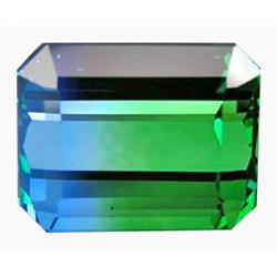 39.90ct   Luxury Octagon Bi Color Quartz (GEM-13100)