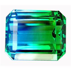 33.15ct   Magical Octagon Bi Color Quartz (GEM-13173)