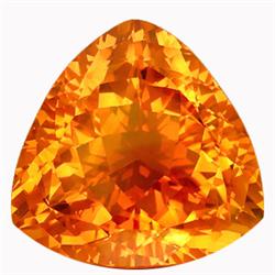 64.56ct Exceptional Trilliant Madeira Citrine (GEM-14851)