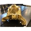 Image 2 : LARGE GOLDEN MOCK TURTLE SCULPTURE