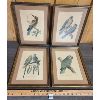 Image 1 : LOT OF 4 - FRAMED BIRD LITHOGRAPHS - 10 x 13.5in EACH