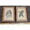 Image 2 : LOT OF 4 - FRAMED BIRD LITHOGRAPHS - 10 x 13.5in EACH