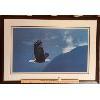 Image 1 : UNSIGNED EAGLE PRINT - 28 X 31 INCHES FRAMED