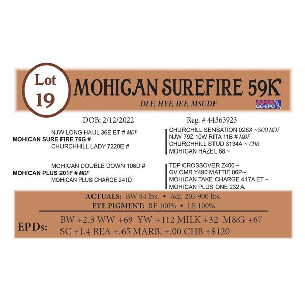 MOHICAN SUREFIRE 59K