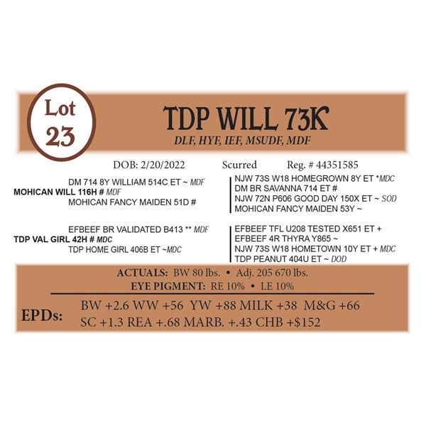 TDP WILL 73K