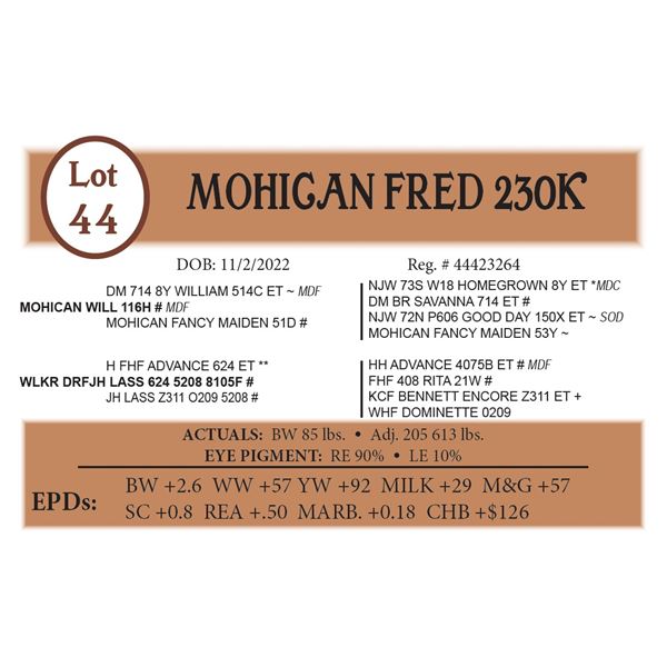 MOHICAN FRED 230K