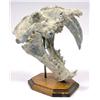 Image 1 : SABER TOOTHED CAT SKULL