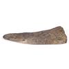 Image 1 : TRICERATOPS BROW HORN