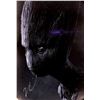Image 1 : Vin Diesel Autograph Signed Avengers Groot Poster