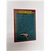 Image 2 : Autograph Stephen Collins Vintage Card