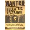 Image 1 : Autograph Harry Potter Newspaper Poster