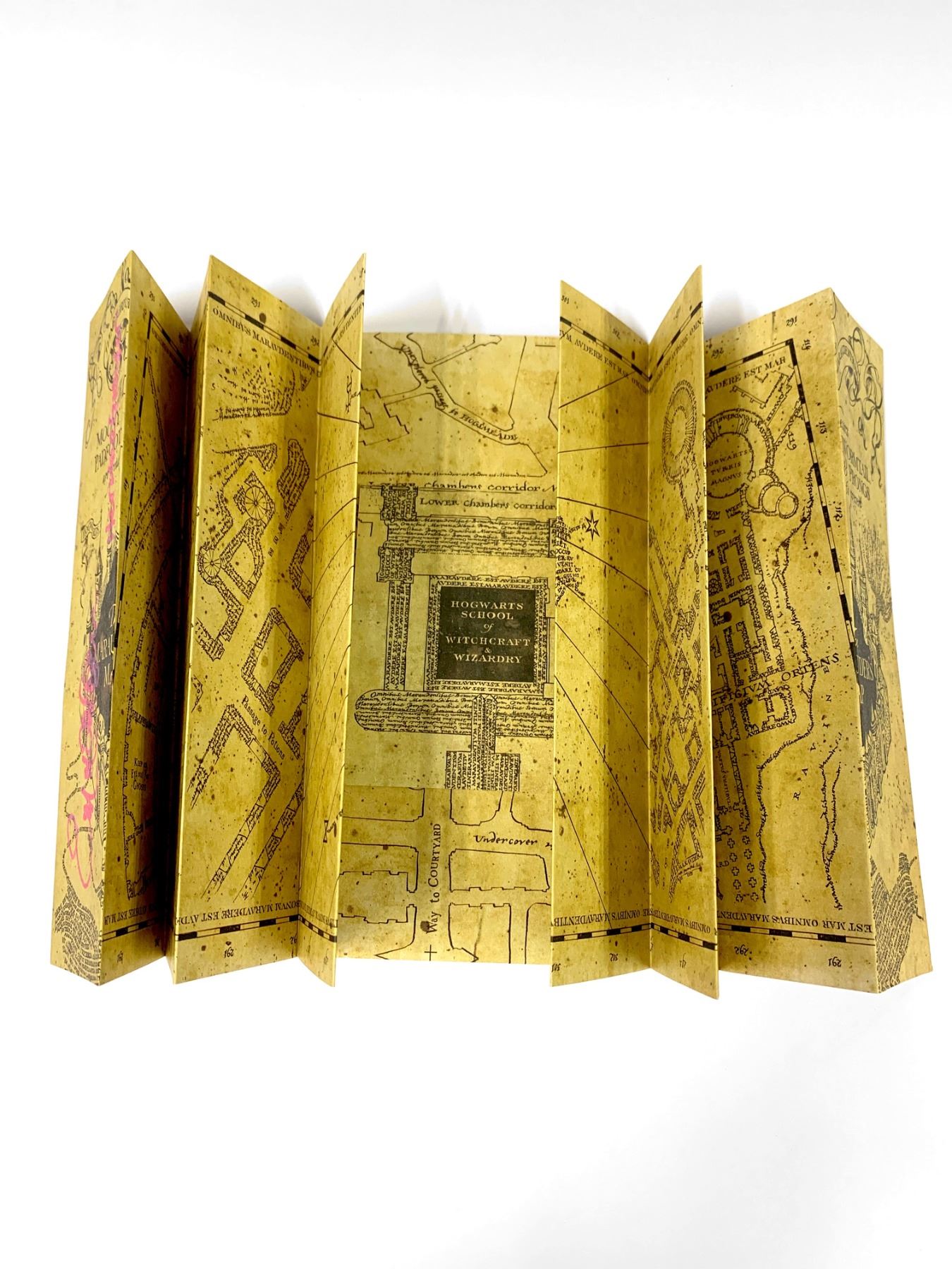 Autograph Harry Potter Emma Watson Map