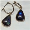 Image 1 : 14K  AMMOLITE EARRINGS
