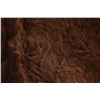 Image 11 : Original "Merlin's Hide Out" Buffalo Robe / Rug
