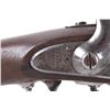 Image 7 : Harpers Ferry Model 1851 Springfield Musket Rifle