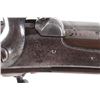 Image 8 : Harpers Ferry Model 1851 Springfield Musket Rifle