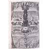 Image 2 : 1872 Buffalo Land by William Edward Webb
