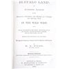 Image 3 : 1872 Buffalo Land by William Edward Webb