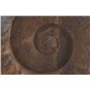Image 7 : Rare Ammonite Large 20" Fossil