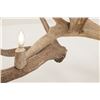 Image 13 : Monumental Elk Antler Layered Chandelier c. 20th C