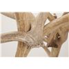Image 15 : Monumental Elk Antler Layered Chandelier c. 20th C