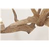 Image 21 : Monumental Elk Antler Layered Chandelier c. 20th C