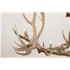 Image 26 : Monumental Elk Antler Layered Chandelier c. 20th C