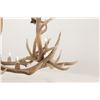 Image 27 : Monumental Elk Antler Layered Chandelier c. 20th C