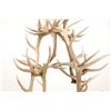 Image 28 : Monumental Elk Antler Layered Chandelier c. 20th C