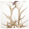 Image 29 : Monumental Elk Antler Layered Chandelier c. 20th C