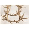 Image 3 : Monumental Elk Antler Layered Chandelier c. 20th C