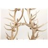 Image 4 : Monumental Elk Antler Layered Chandelier c. 20th C