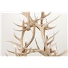 Image 5 : Monumental Elk Antler Layered Chandelier c. 20th C
