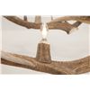 Image 6 : Monumental Elk Antler Layered Chandelier c. 20th C