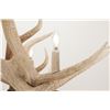 Image 7 : Monumental Elk Antler Layered Chandelier c. 20th C