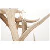 Image 8 : Monumental Elk Antler Layered Chandelier c. 20th C